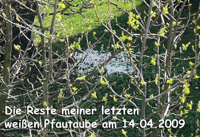 nachteil