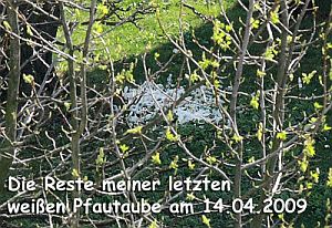 nachteil2